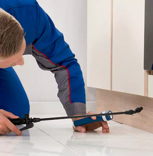 Why Springfield Residents Choose Springfield MA Pest Control Pros to Get Rid of Sugar Ants?
