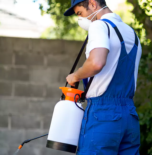 Why Choose Springfield MA Pest Control Pros for Termite Barrier in Springfield, OR?
