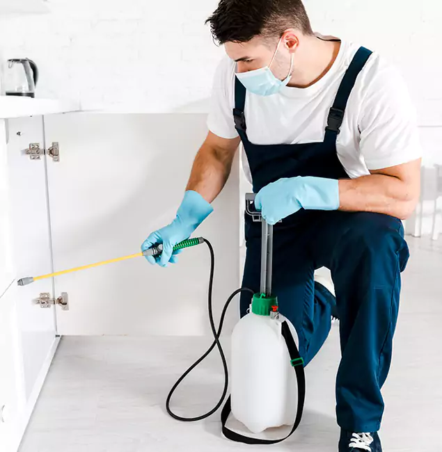 Why Choose Springfield MA Pest Control Pros for Termite Spot Treatment in Springfield, OR?