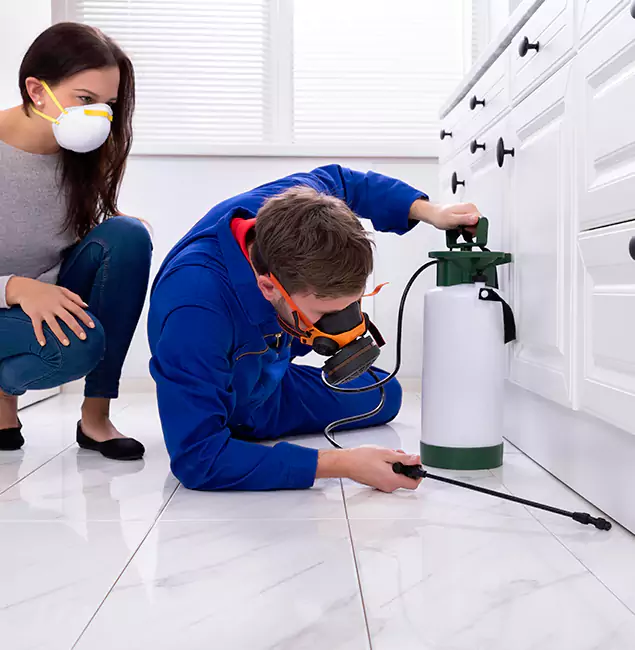 Why Choose Wood Termite Treatment by Springfield MA Pest Control Pros in Springfield, OR?