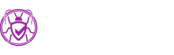 Springfield MA Pest Control Pros