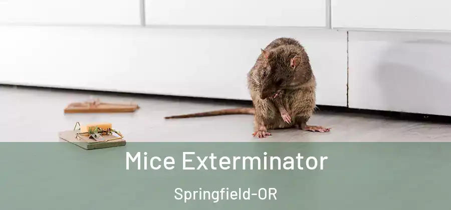 Mice Exterminator Springfield-OR