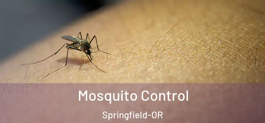 Mosquito Control Springfield-OR
