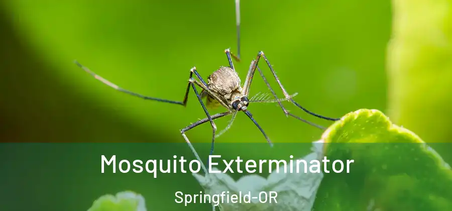 Mosquito Exterminator Springfield-OR