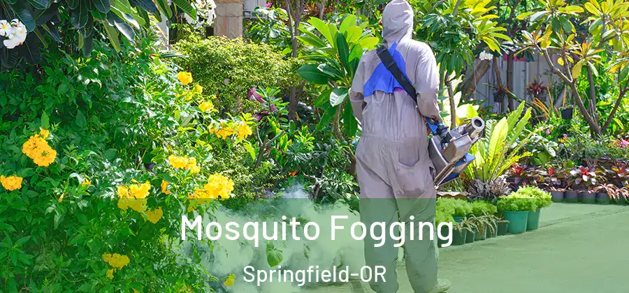 Mosquito Fogging Springfield-OR