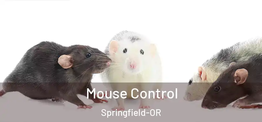 Mouse Control Springfield-OR