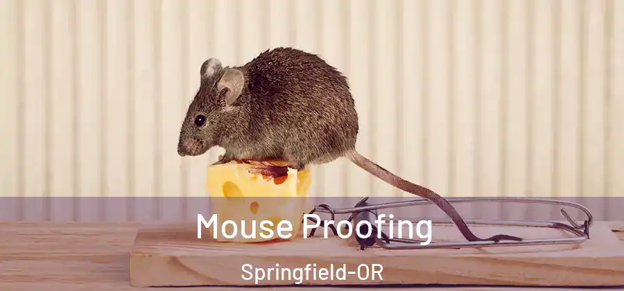 Mouse Proofing Springfield-OR