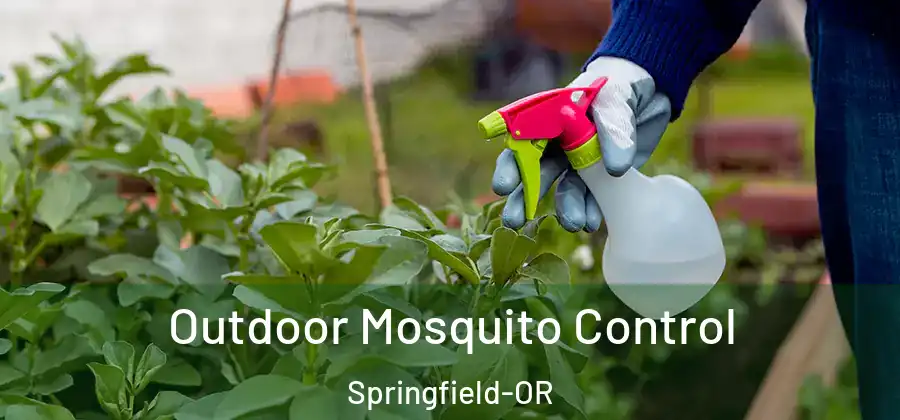 Outdoor Mosquito Control Springfield-OR