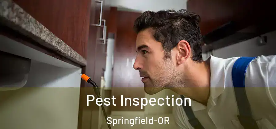 Pest Inspection Springfield-OR