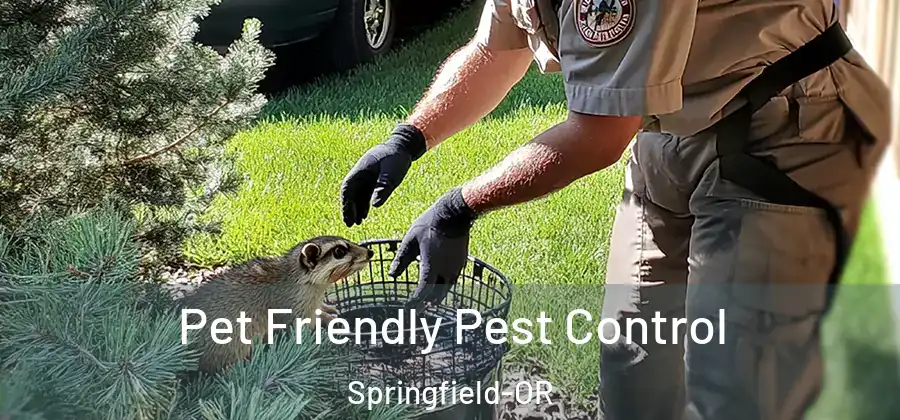 Pet Friendly Pest Control Springfield-OR