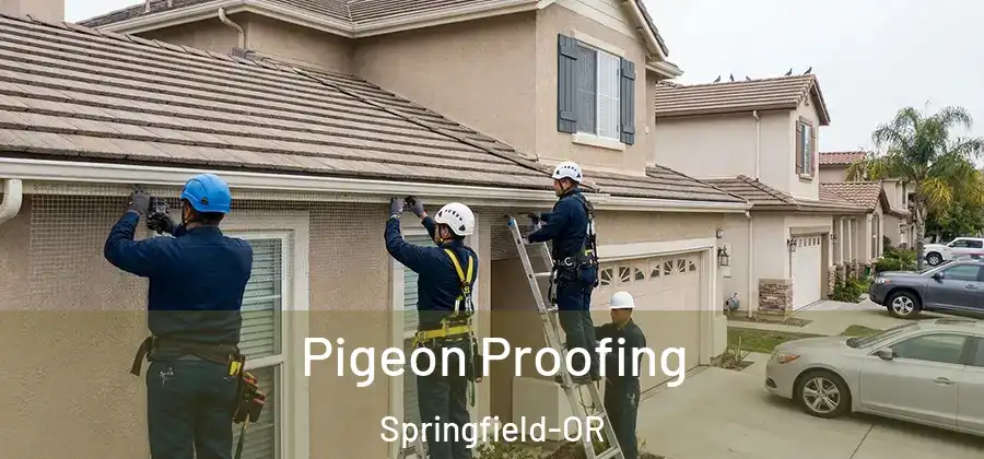 Pigeon Proofing Springfield-OR