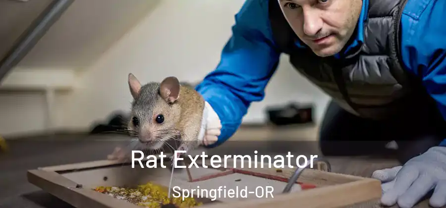 Rat Exterminator Springfield-OR