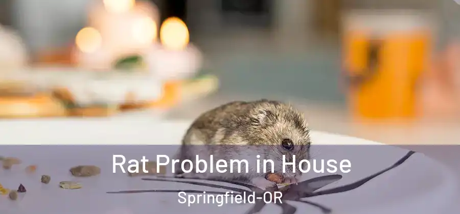 Rat Problem in House Springfield-OR