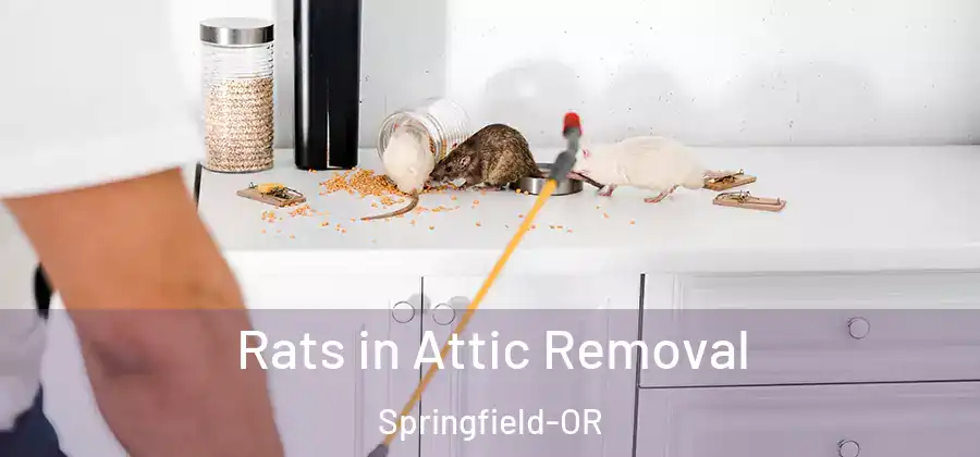 Rats in Attic Removal Springfield-OR