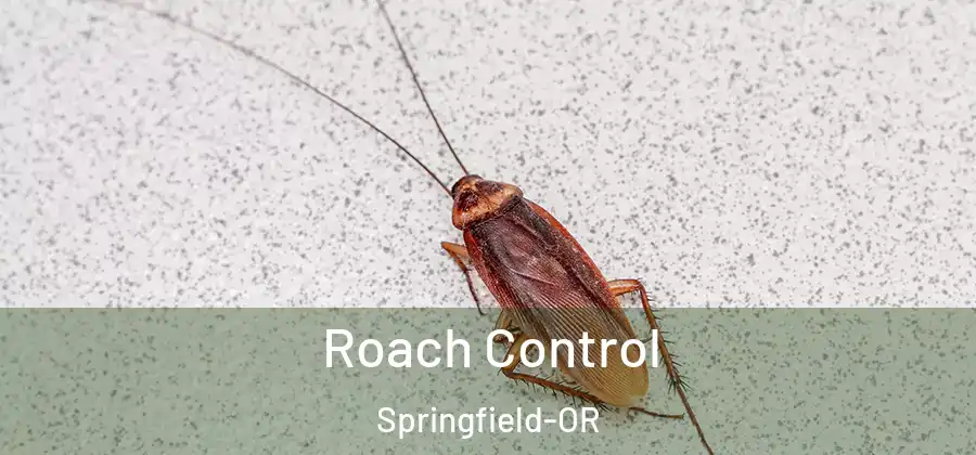 Roach Control Springfield-OR
