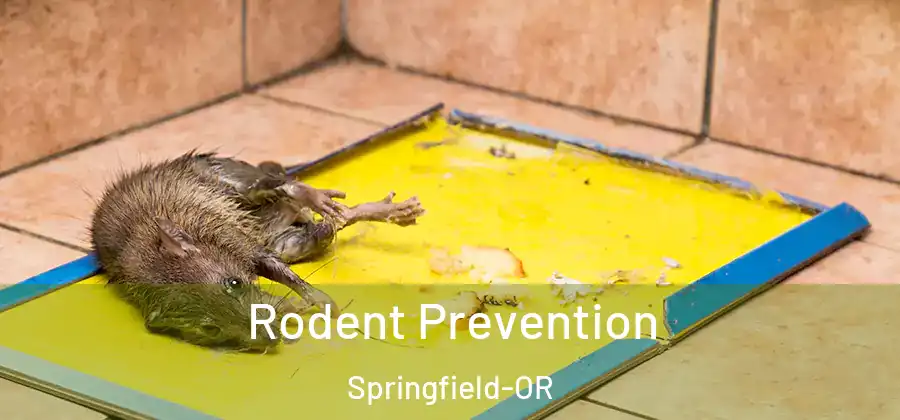 Rodent Prevention Springfield-OR