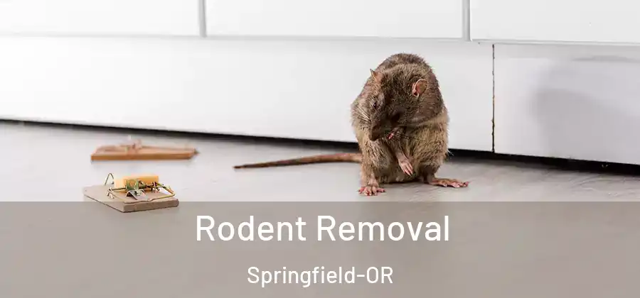 Rodent Removal Springfield-OR