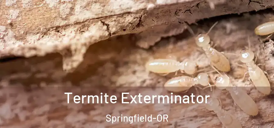 Termite Exterminator Springfield-OR