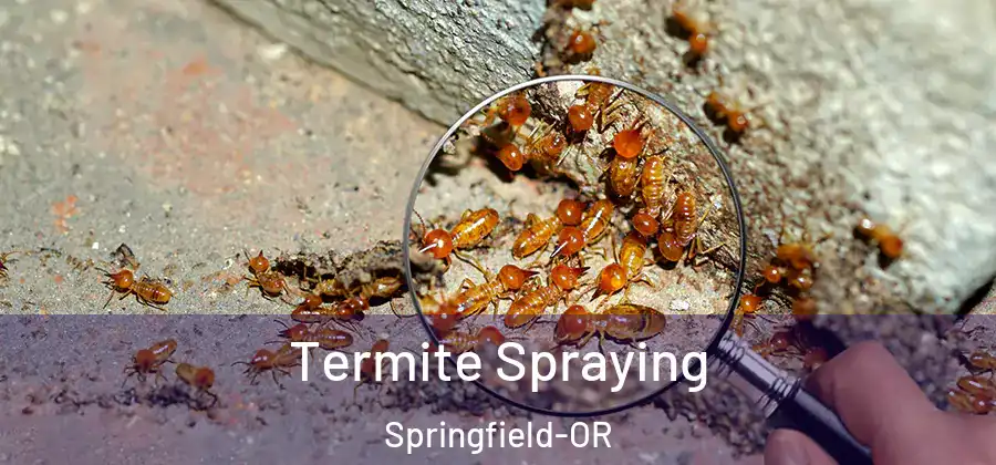 Termite Spraying Springfield-OR