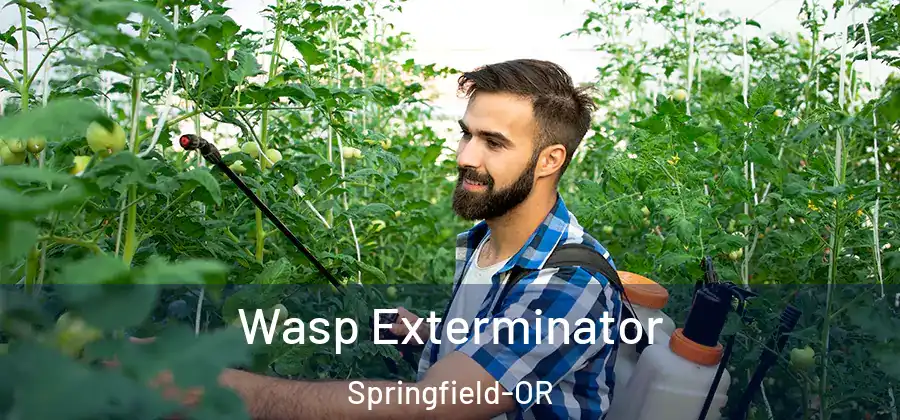 Wasp Exterminator Springfield-OR