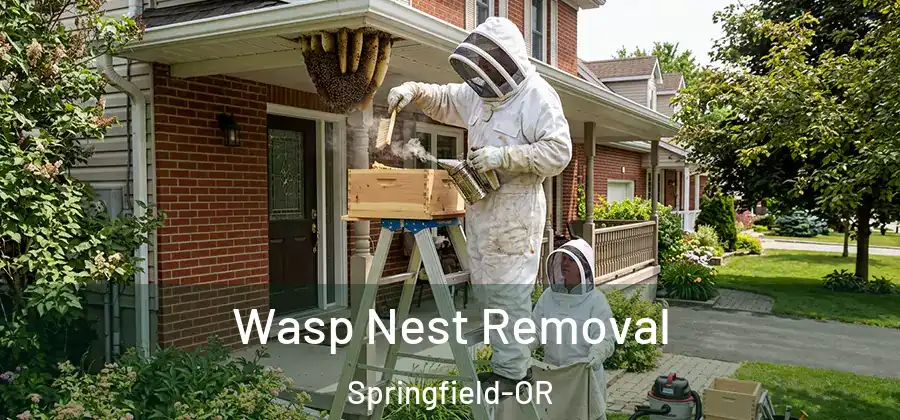 Wasp Nest Removal Springfield-OR