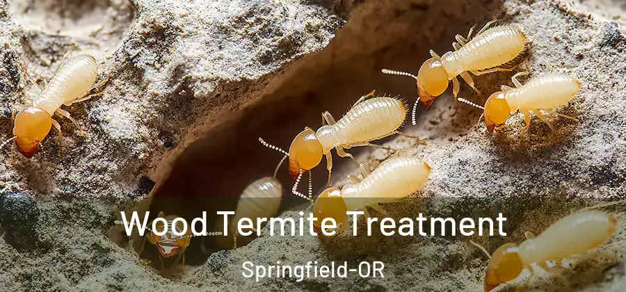 Wood Termite Treatment Springfield-OR